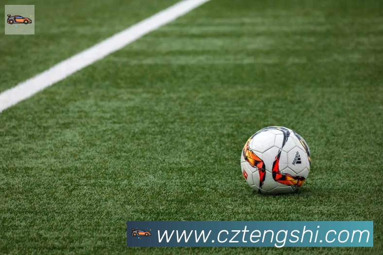 雅博app官网荣誉