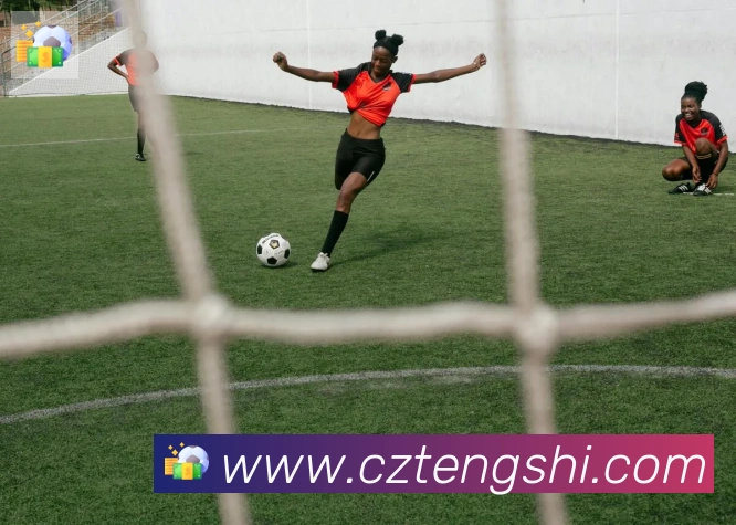 雅博app官网荣誉