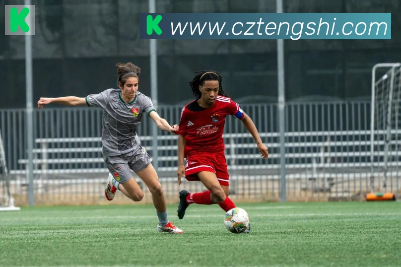 雅博app官网荣誉