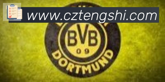 雅博app官网合作伙伴